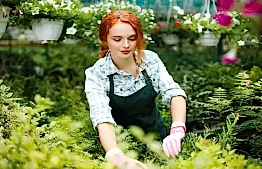 Bahçeniz İçin Mükemmel Bitki Seçimi: İpuçları ve Öneriler